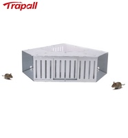 Piège à rats et à rongeurs en métal de forme triangulaire pour l'intérieur de la maison, contrôle des rongeurs, capture multiple en direct, piège à souris solide et écologique