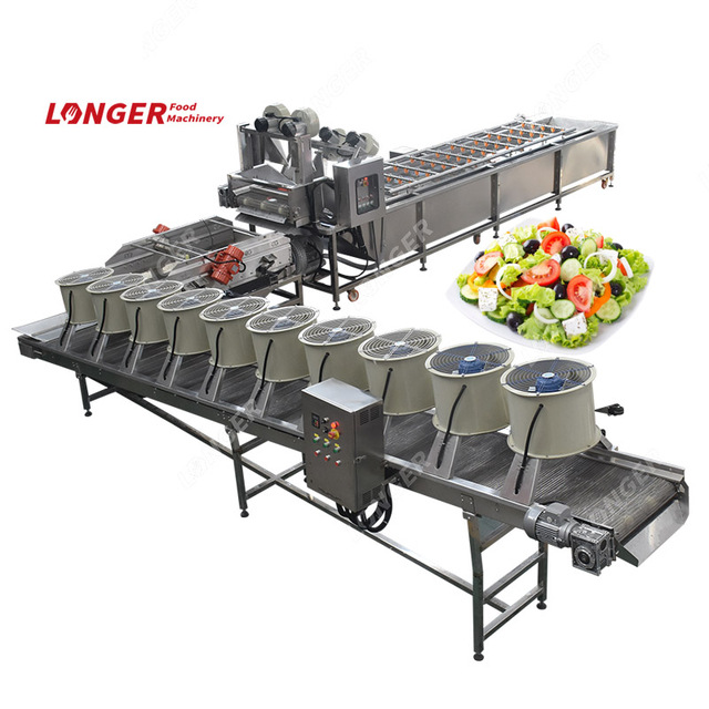 Salad Vegetable Fruit Cleaning Cutting Line Bean Sprout Washing Machine With Ozone System