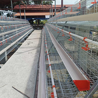 Cage à poules pondeuses de type A galvanisée à chaud avec alimentation et abreuvement automatiques, nettoyage du fumier, 3/4 niveaux, pour 2000-5000 poules, en vente pour l'Afrique