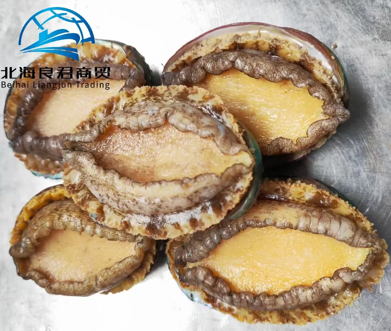 Fabriek Direct China Goedkope Nieuwe Zeevruchtenproducten Vers Abalone Voedsel Bevroren Zeerond Schijf Abalone