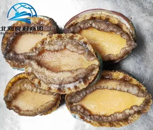 Factory Directly China cheap new seafood products fresh abalone food frozen seasond disk abalone