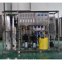 Purificateur d'eau EDI à double étage 250 LPH pour alimentation de chaudière d'usine électrique 18,25 MOhm cm avec pompe à eau brute