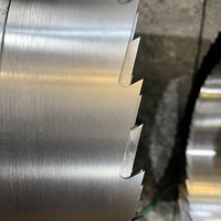Lame de scie à ruban durable pour la coupe du bois, idéale pour les scieries et la fabrication de meubles