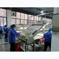 Machine de fabrication de feuilles de tofu séché Machine de production automatique de yuba