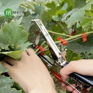 Китайский производитель, ПВХ, прививочная и садовая лента для фруктовых деревьев и растений - Product Image 5