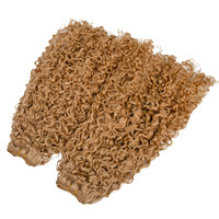 Meilleures ventes : Lots de 100 mèches de cheveux humains Remy, Ondulation Afro Jerry Curly # 27 Extensions de cheveux à double trame machine