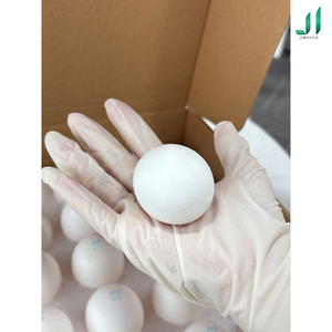 Trứng SPF cho nghiên cứu y sinh và thực phẩm cao cấp - Product Image 3