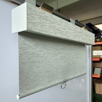 Persianas Enrollables Compactas de Diseño de Cassette, Persianas Enrollables Manuales para Ventanas, para Hogar y Oficina