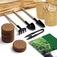 Kit de démarrage de bonsaï personnalisé DIY avec outils et différentes espèces d'arbres - Choix de cadeau dans un emballage créatif