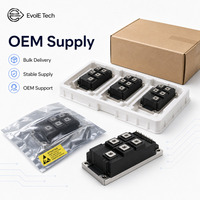 Module IGBT EVOL-EVWGM300B1-1170GDWB6EN 1200V 300A Triphasé à faible VCE(sat) pour variateur de moteur industriel