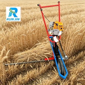 Tagliaerba a Benzina a 4 Tempi, Mini Rasaerba <span class=keywords><strong>Commerciale</strong></span> a Benzina, Macchina Tagliaerba Manuale con Carrello - Product Image 1