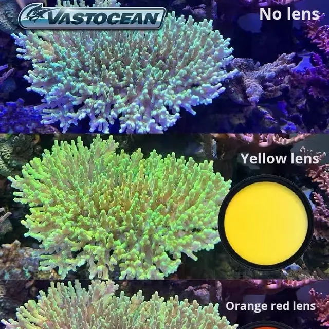 Aquarium Filter Lens Blue Light Removal for Marine Coral Tank Photography Macro Shooting Magic Phone Filter