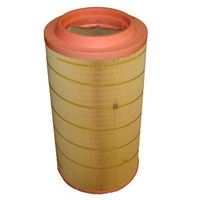 Filtre à air de camion modèle E428L01 C271250/1 AF25894 81084050021 pour moteur pour voitures neuves et d'occasion