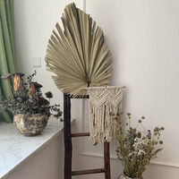 13 couleurs disponibles, feuilles de palmier séchées en forme d'éventail, décoration de fond de scène pour mariage, Noël, rentrée scolaire, matériau naturel durable