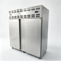 Commerciële snelle vrieskast met dubbele deur en plug-in tray ontwerp -70°C ℃   Luchtkoelinstallatie voor een fabriek voor diepgaande verwerking van garnalen en zeevruchten