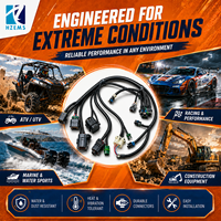Harness Kabel Otomotif Universal Profesional HZEMS, Konektor ECU Kustom, Kotak Canbus Mobil, Harness Kabel, Pasokan Pabrik Dongguan