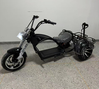 Scooter électrique Citycoco à 3 roues, style tendance, 3000w 4000w, tricycle électrique à 3 roues, trike électrique, pneus larges, Citycoco