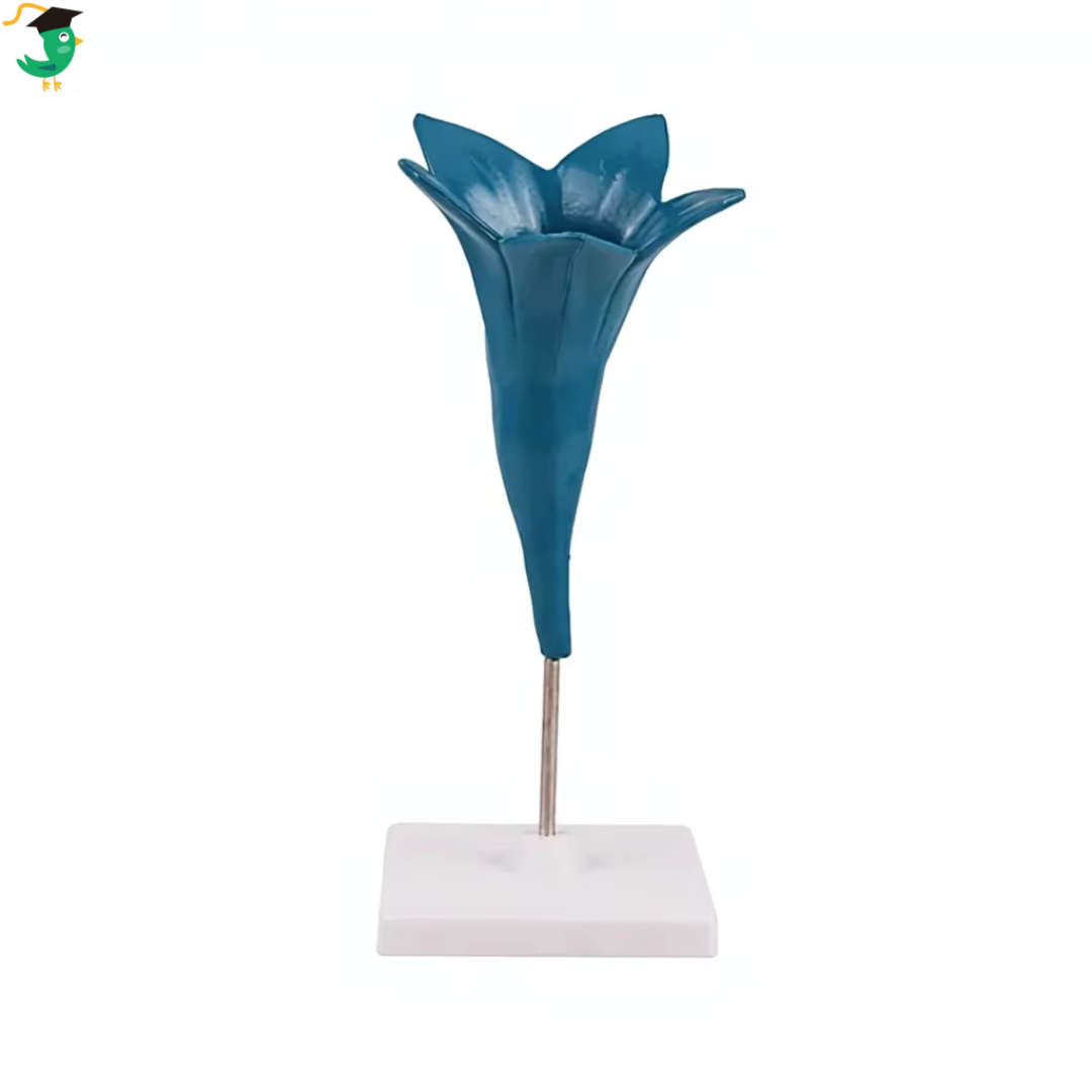 Modelo de flor de trompeta azul