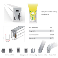 Ruban LED néon flexible en silicone magique 12x20mm, étanche IP67, lumière LED RGB pour aménagement paysager 12V/24V