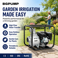 Mini pompe à moteur diesel portable pour l'irrigation de l'eau