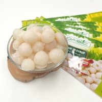Ingeblikte Longan in siroop 425g, gepeld & ontpit, hele vruchten in zoet water, klaar om te eten, snack