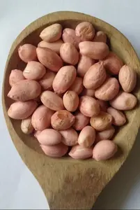 เมล็ดถั่วลิสง (Arachis hypogaea) เป็นเมล็ดพืชที่รับประทานได้ที่อุดมไปด้วยโปรตีน (24-36%) สามารถผสมพันธุ์เองได้ เป็นพืชตระกูลถั่วประจำปีที่มีน้ำมันสูงที่สุด - Product Image 4