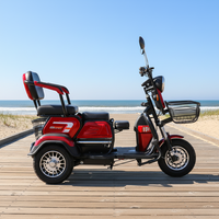Nouveau tricycle électrique OEM à 3 roues avec siège enfant pliable, 48V 600W 800W, 3 places, scooter électrique avec boîte de chargement pour les courses