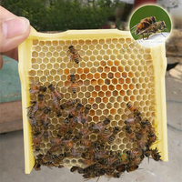 Imkerei-Zubehör: Begattungskasten, Bienenzuchtkasten, Mini-Bienenstock