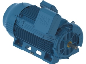 มอเตอร์เหนี่ยวนำสามเฟส W51 HD 250 KW 6P 315 g/f 400 V IE4 50 Hz B3R tefc IC411กันน้ำ - Product Image 5
