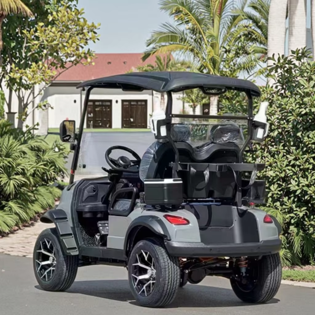 Betetek Brand 2-Seater Electric Golf Cart LED Lighting Steel Aluminum Glass Polypropylene Construction for Non-public Road