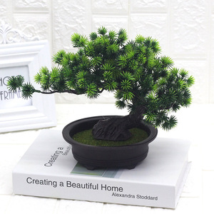 Albero dei <span class=keywords><strong>Bonsai</strong></span> di Podocarpus di alta qualità a basso costo per la decorazione della tavola Mini pianta naturale per <span class=keywords><strong>Bonsai</strong></span> artificiali dell'hotel dell'<span class=keywords><strong>interno</strong></span> all'aperto - Product Image 3