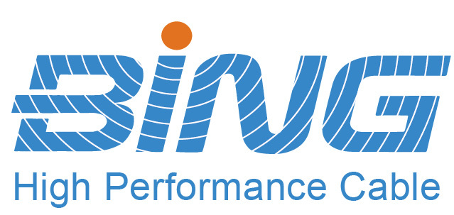 Shanghai Bing Wire & Cable Co., Ltd.