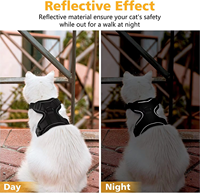 Harnais et laisse réglables Kingtale pour animaux de compagnie, chien, chat, avec sangles réfléchissantes, harnais de base et laisse pour petits animaux, accessoires pour chats
