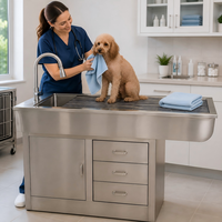Table de Traitement Vétérinaire XY ACC01 avec Construction en Acier Inoxydable 304, Robinet, Évier et Armoire de Rangement Intégrée