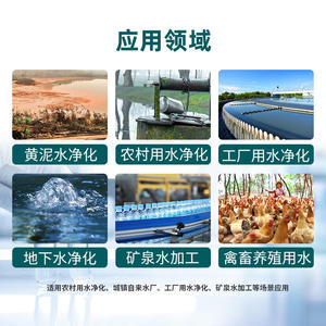 Sistema de Tratamiento Industrial de Lodo Amarillo por Ultrafiltración, Máquina de Limpieza Automática, Equipo de Purificación de Agua, Ósmosis Inversa - Product Image 4