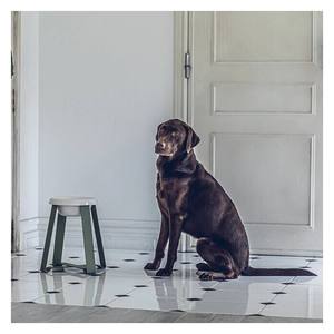 Pecolo Eco-Friendly Tilted Ceramic Pet Feeder <b>Stand</b> for Cats & <b>Dogs</b> Durable Portable Indoor Use - Product Image 1