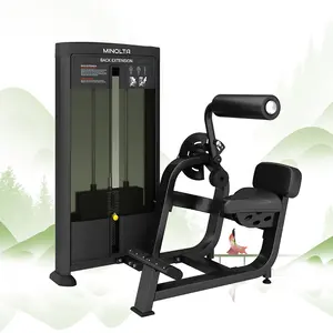 Plated Loaded Gym Used Dual Function Strength Training Machine FD31 Back Extension Commercial Fitness Equipment