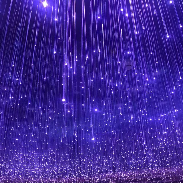 Outdoor Fiber Optic Lamp Holiday Wedding Decoration Fairy Lamp Fiber Optic LED Tree Light Colorful Landscape Hanging Tree Light