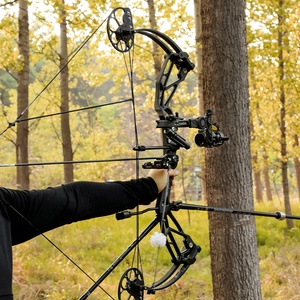Nouvel arrivage : Arc composé de chasse léger en aluminium, disponible en plusieurs couleurs, avec kit complet Pango Standard Com – En vente - Product Image 6