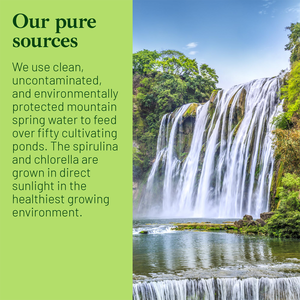 Oem/ODM nhà máy bán buôn Hữu Cơ Spirulina <span class=keywords><strong>Chlorella</strong></span> hỗn hợp máy tính bảng chế độ ăn uống bổ sung cao cấp - Product Image 5