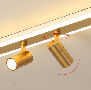 Lumind Led <span class=keywords><strong>Techo</strong></span> Downlight Superficie brillante Instalada Pista dorada Tira <span class=keywords><strong>de</strong></span> LED <span class=keywords><strong>Focos</strong></span> pequeños Iluminación interior Luces <span class=keywords><strong>de</strong></span> riel - Product Image 6