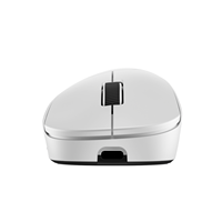 Souris de jeu sans fil légère ABS à trois modes PAW3395 PAW3950 8KHz ergonomique pour droitier avec batterie amovible