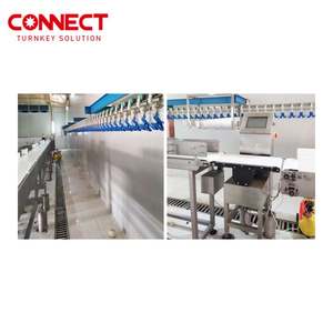 3000 6000 10000 BPJ otomatis unggas ayam bebek pengolahan rumah pemotong di dalam mesin cuci luar untuk rencana sistem pemotongan - Product Image 3