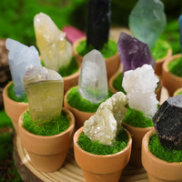 Cadeaux de spécimens minéraux naturels : Fluorite, Améthyste, Pyrite, Plante en pot, Cristal, Pierre brute, Roche de bonsaï pour la guérison et la décoration