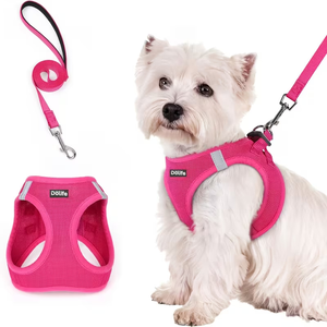 Breathable Mesh Pet Harness Vest Reflective Dog Harness Step In No Pull with Leash for Small Dogs Cats - Product Image 1