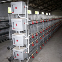 Prix d'usine, expédition rapide : Grand poulailler pour poules pondeuses, cage pour poulets pour la Malaisie