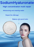 5KDA Sodium Hyaluronate Kelas Kosmetik, Bubuk HA yang Digunakan dalam Bahan Baku Lip Gloss & Pelembab Bibir