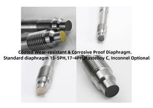 เกจวัดแรงดันแบบยืดหยุ่นสำหรับเครื่องจักรอัดรีดพลาสติก - Product Image 6