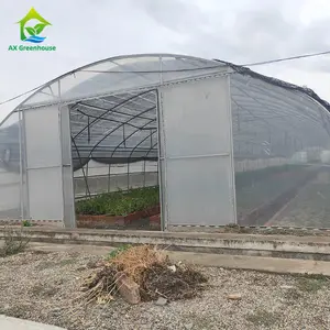 用于蔬菜和水果的最新塑料隧道温室