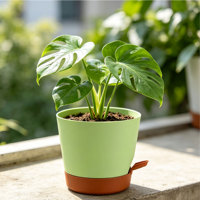 Pots de fleurs modernes et durables en plastique PP à arrosage automatique avec trous de drainage, design minimaliste, capacité de 1,17 L pour une utilisation en intérieur/extérieur